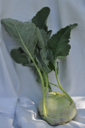 Kohlrabi (delicious!)