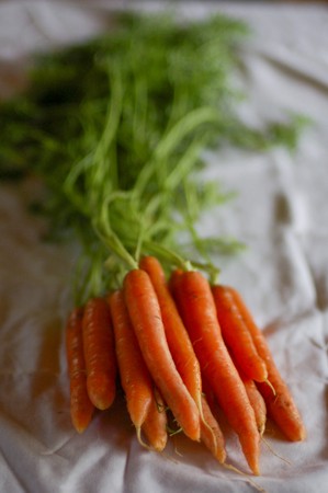 Carrots, Bunched (first local ones of the season!!!)