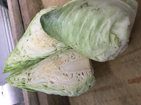 Cabbage, Pointy (green) - great value!