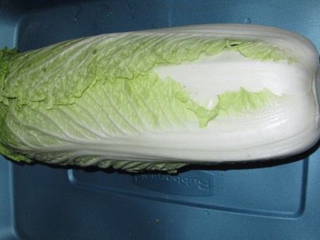 Cabbage, Napa (aka Chinese Cabbage)