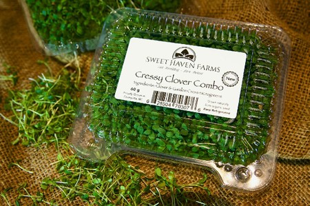 Micro-Greens, Cressy Clover Combo (non-org) - so good!