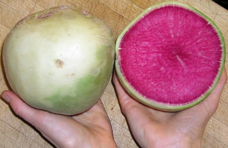 Radish, Watermelon (bright pink inside!)