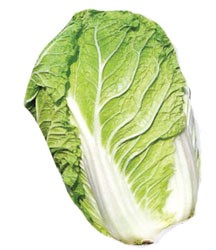 Cabbage, Sui Choy (aka Napa or Chinese cabbage)