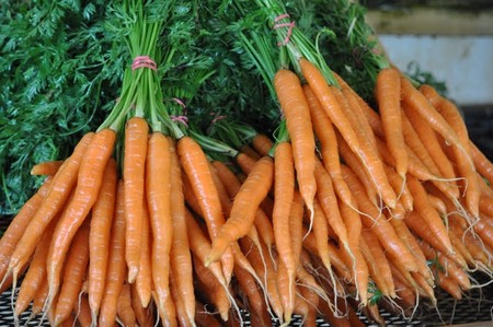 Carrots, Bunched